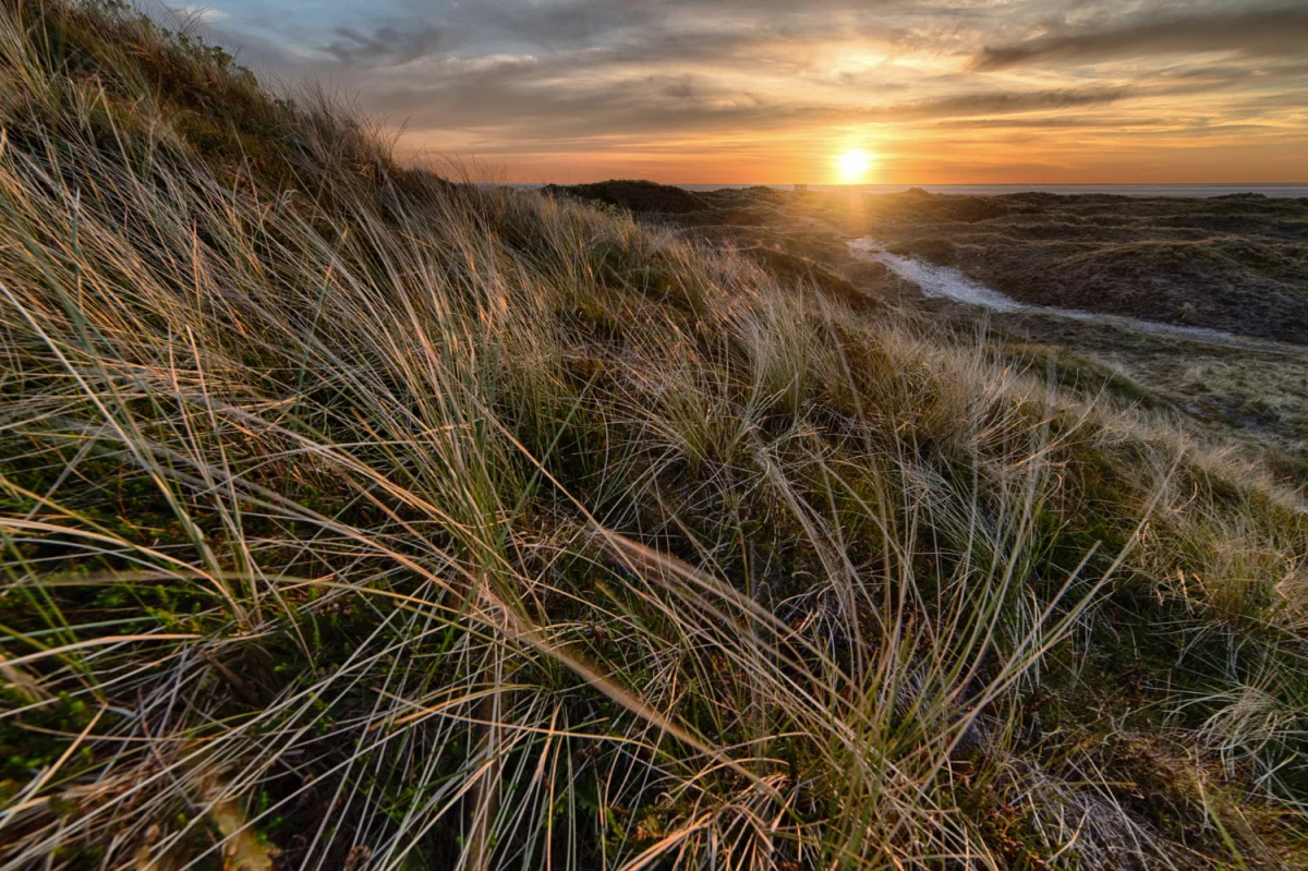obsłużyć esg w firmie? Dobrze albo wcale!